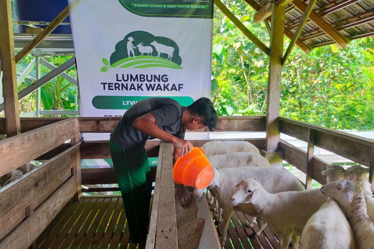 ACT Madiun-Global Qurban kelola ternak secara intensif cegah PMK