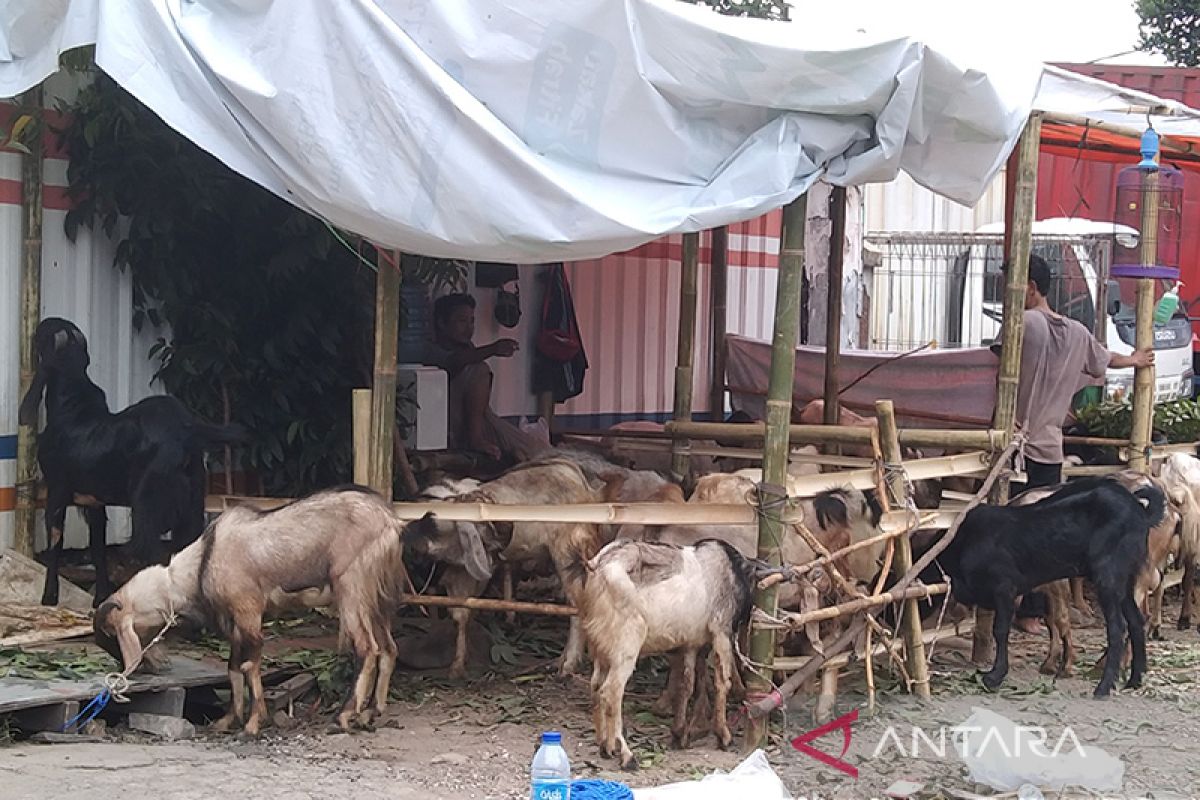 Lima pencuri 50 ekor kambing ditangkap