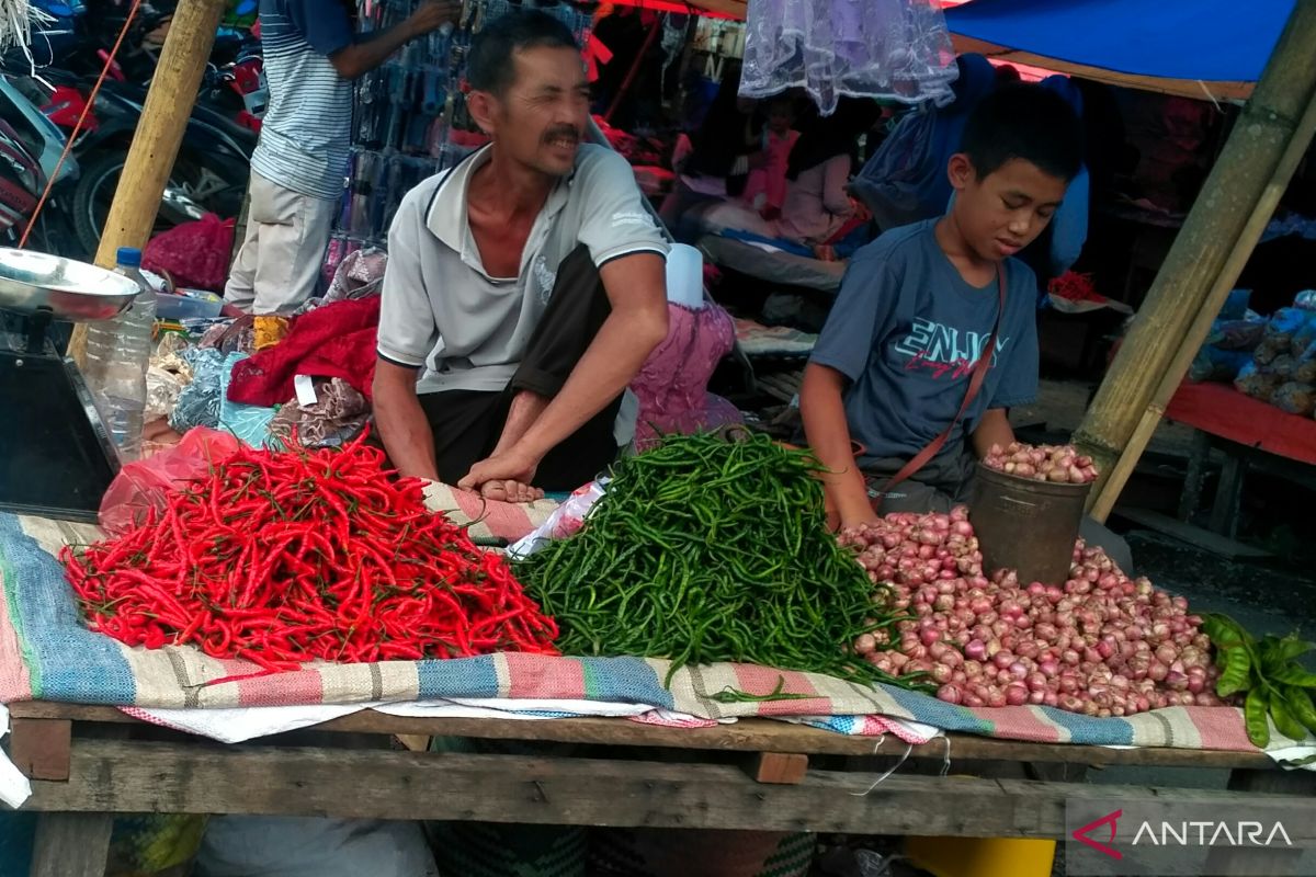 Harga berbagai kebutuhan pokok naik di Solok Selatan