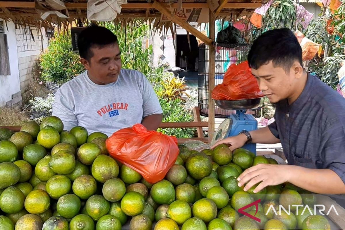 Kalbar bersurat ke Kementan beri masukan terkait pupuk subsidi jeruk