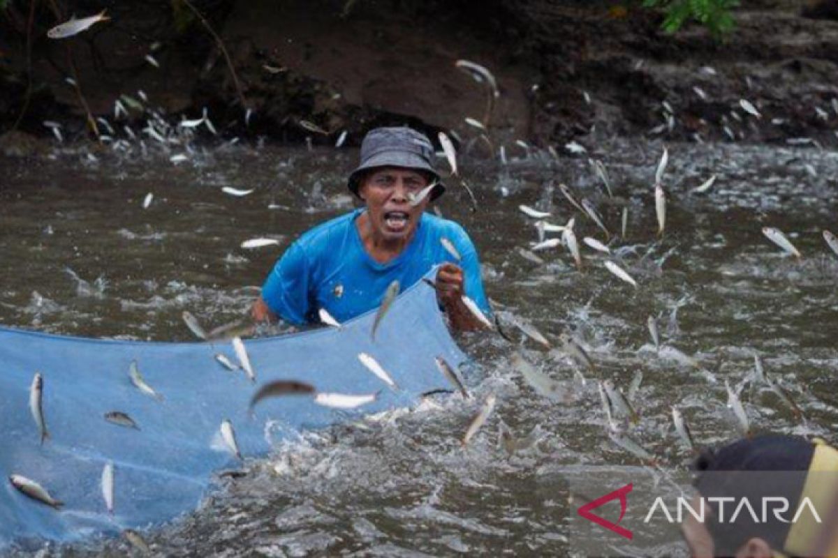 Menjaga sumber daya laut Maluku dengan tradisi Sasi