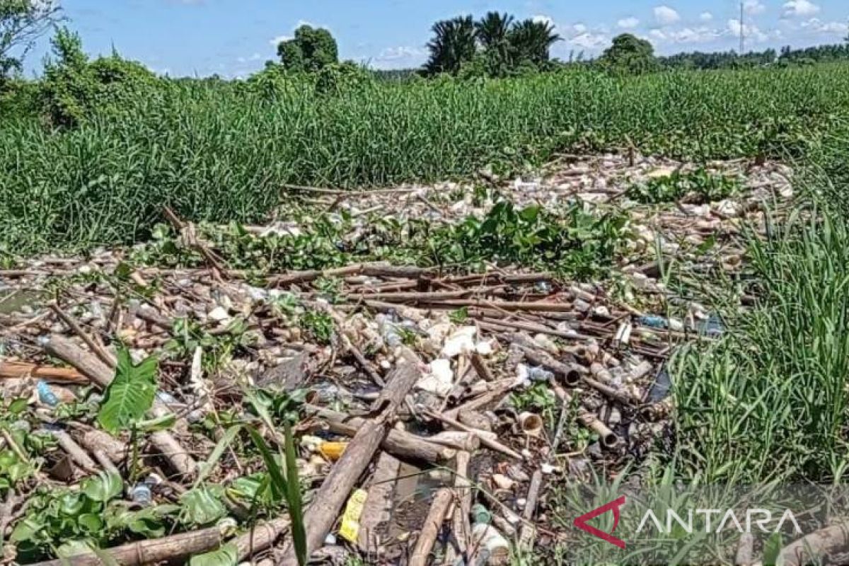 Lahan pertanian di Wawaran terkendala luapan air sungai dan tumpukan sampah