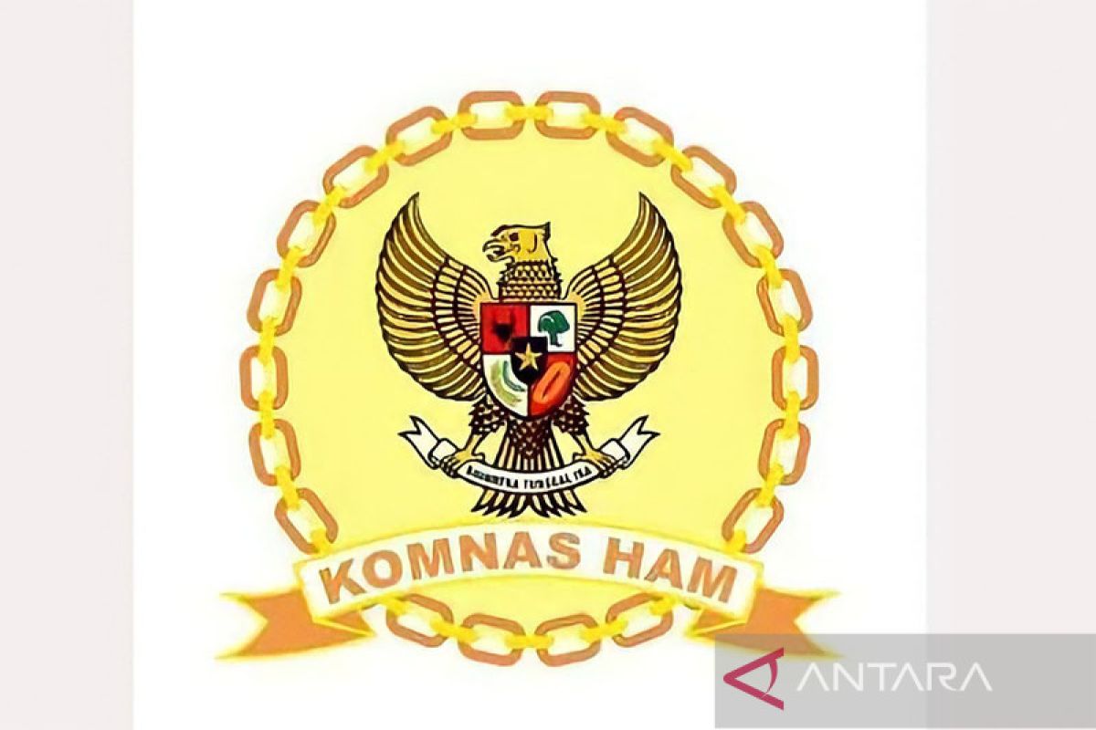 Analis hukum: Komnas HAM bisa lakukan penyelidikan di luar Indonesia