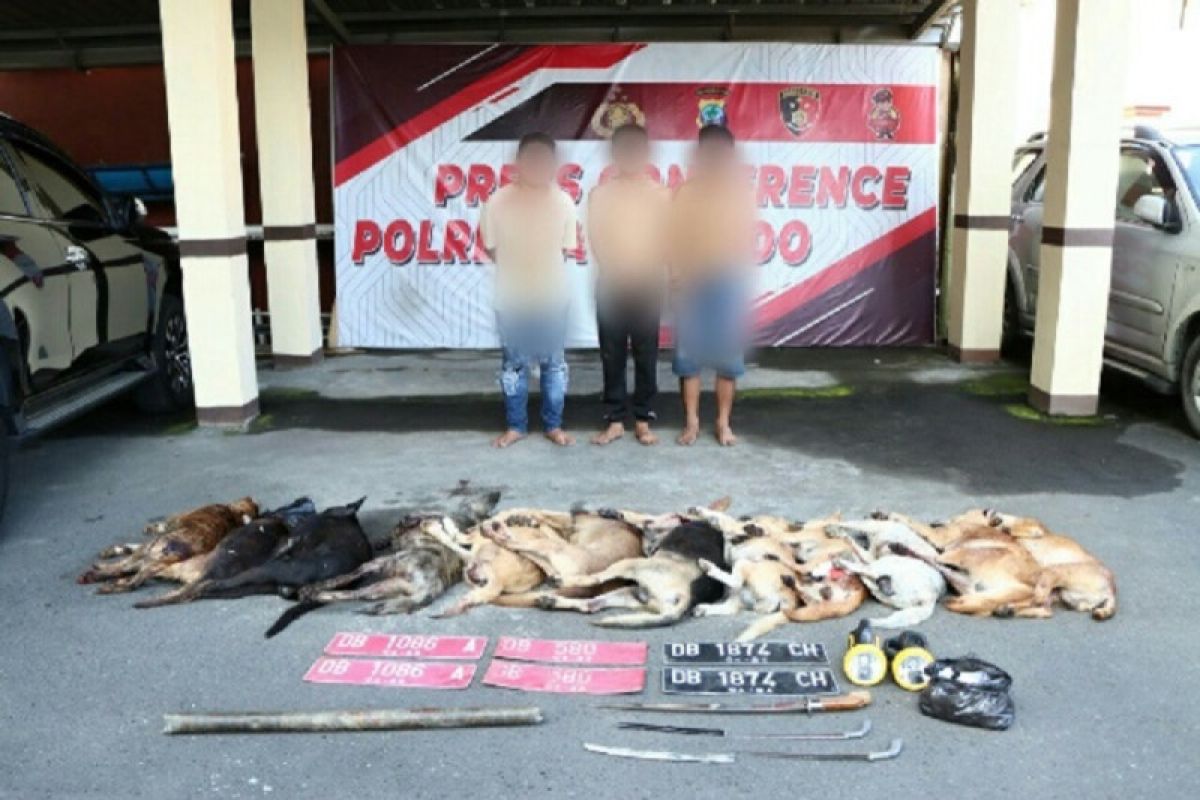 Trio pencuri belasan anjing ditangkap di Manado