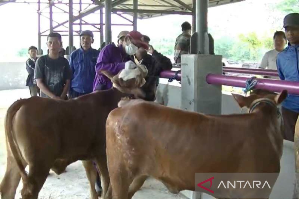 Pasar hewan Temanggung ditutup pada 9-22 Juni, antisipasi sebaran PMK