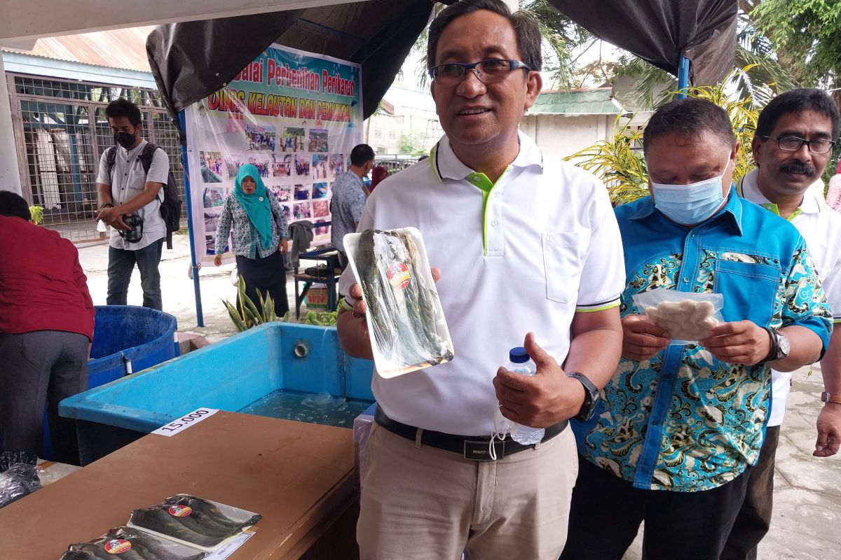 DKP Sulteng  gencarkan pemberdayaan UMKM sektor kelautan-perikanan