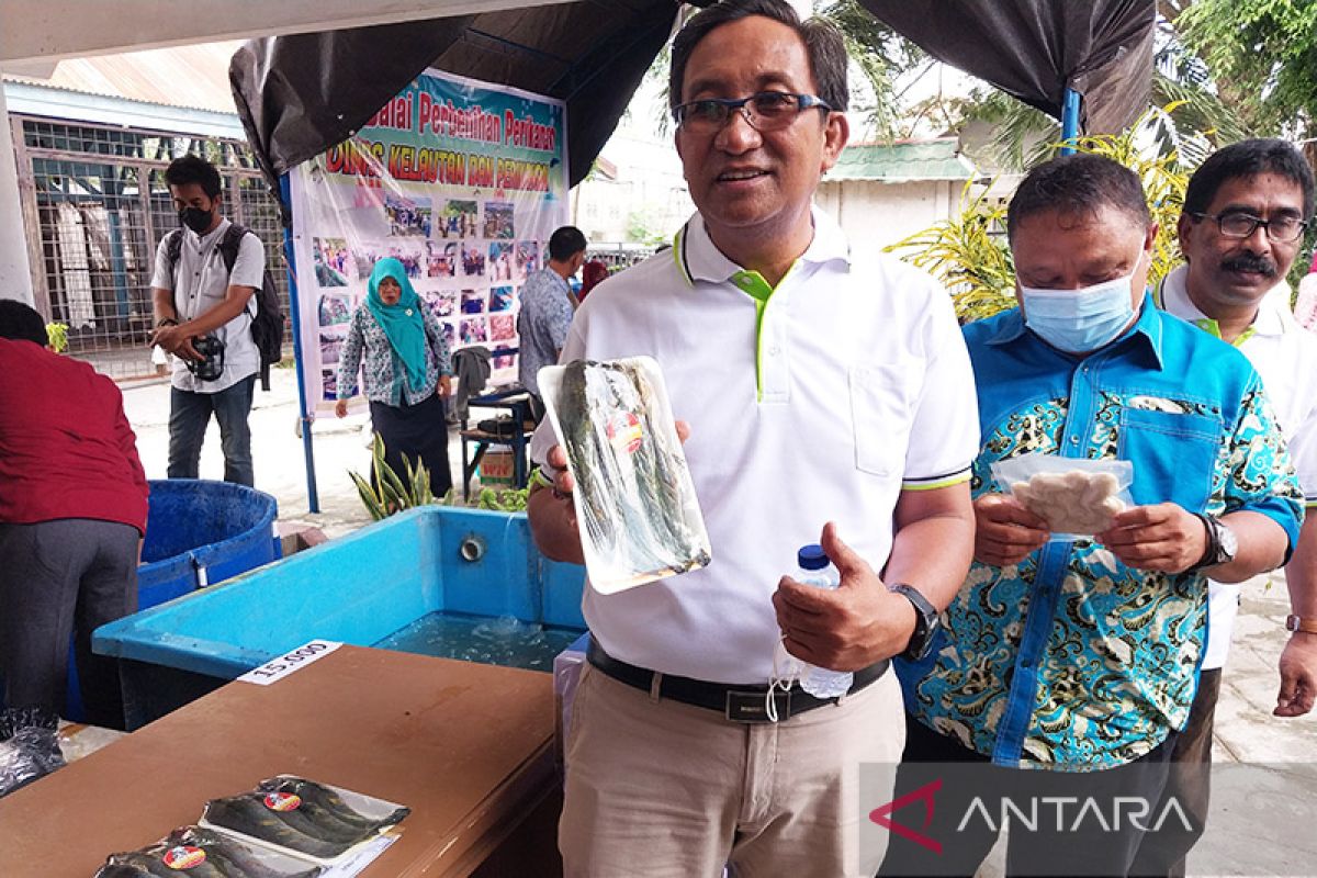 DKP Sulteng gencarkan pemberdayaan UMKM sektor kelautan-perikanan