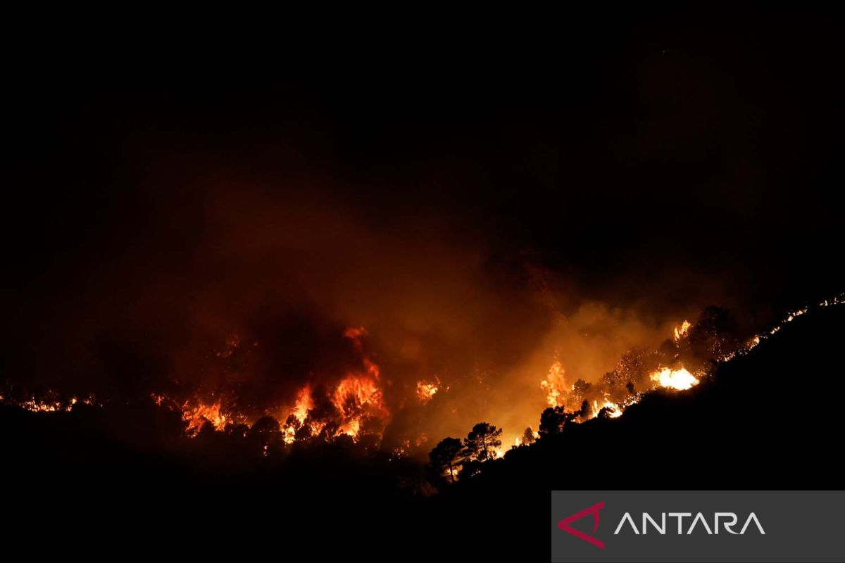 Kebakaran hutan di Spanyol selatan sebabkan evakuasi, tiga terluka