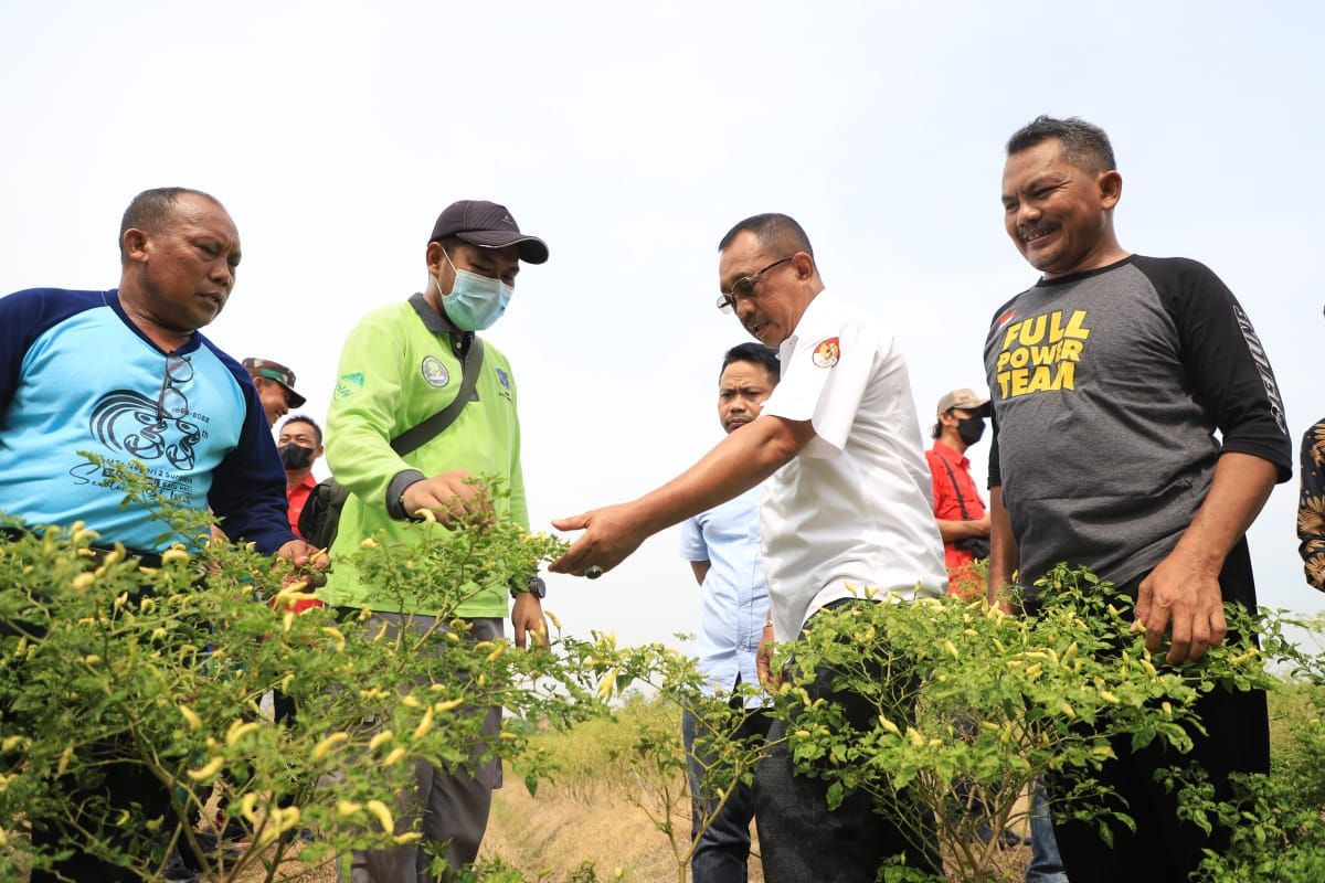 Jelang Idul Adha, Pemkot Surabaya antisipasi naiknya harga kebutuhan pokok