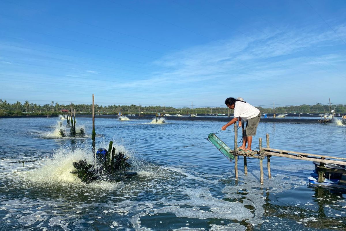 PLN hadirkan listrik andal dukung usaha agribisnis di Singkawang