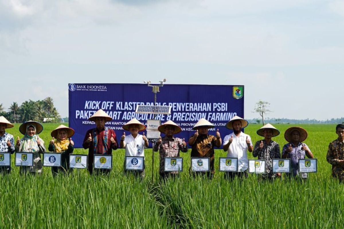 BI kembangkan klaster padi Gapoktan Harapan di Serdangbedagai Sumut
