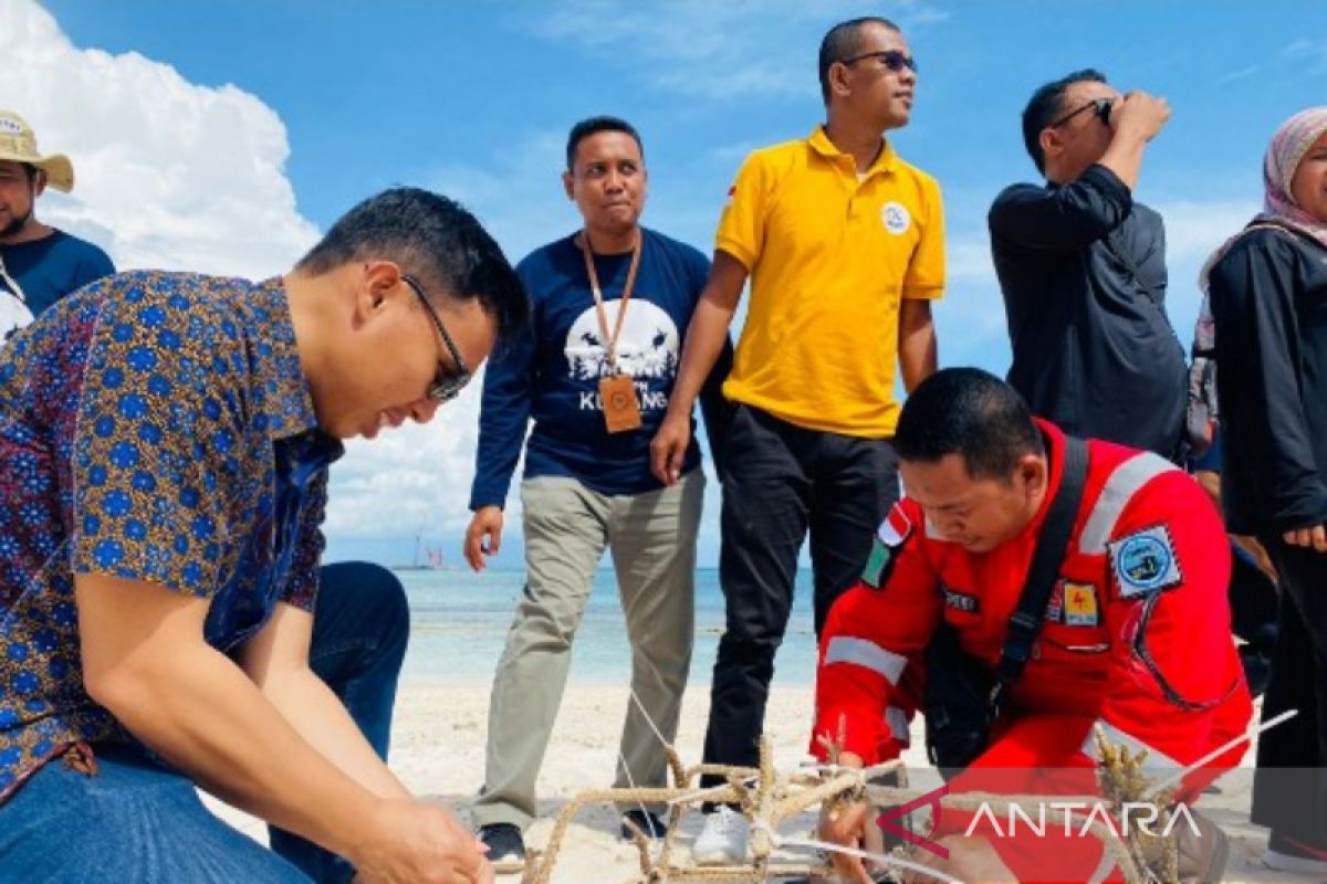 PLN-BKKPN Kupang tanam 300 bibit terumbu karang peringati Coral Triangel Day