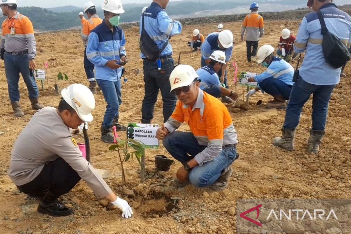 PT AGM tanam pohon peringati Hari Lingkungan Hidup Sedunia