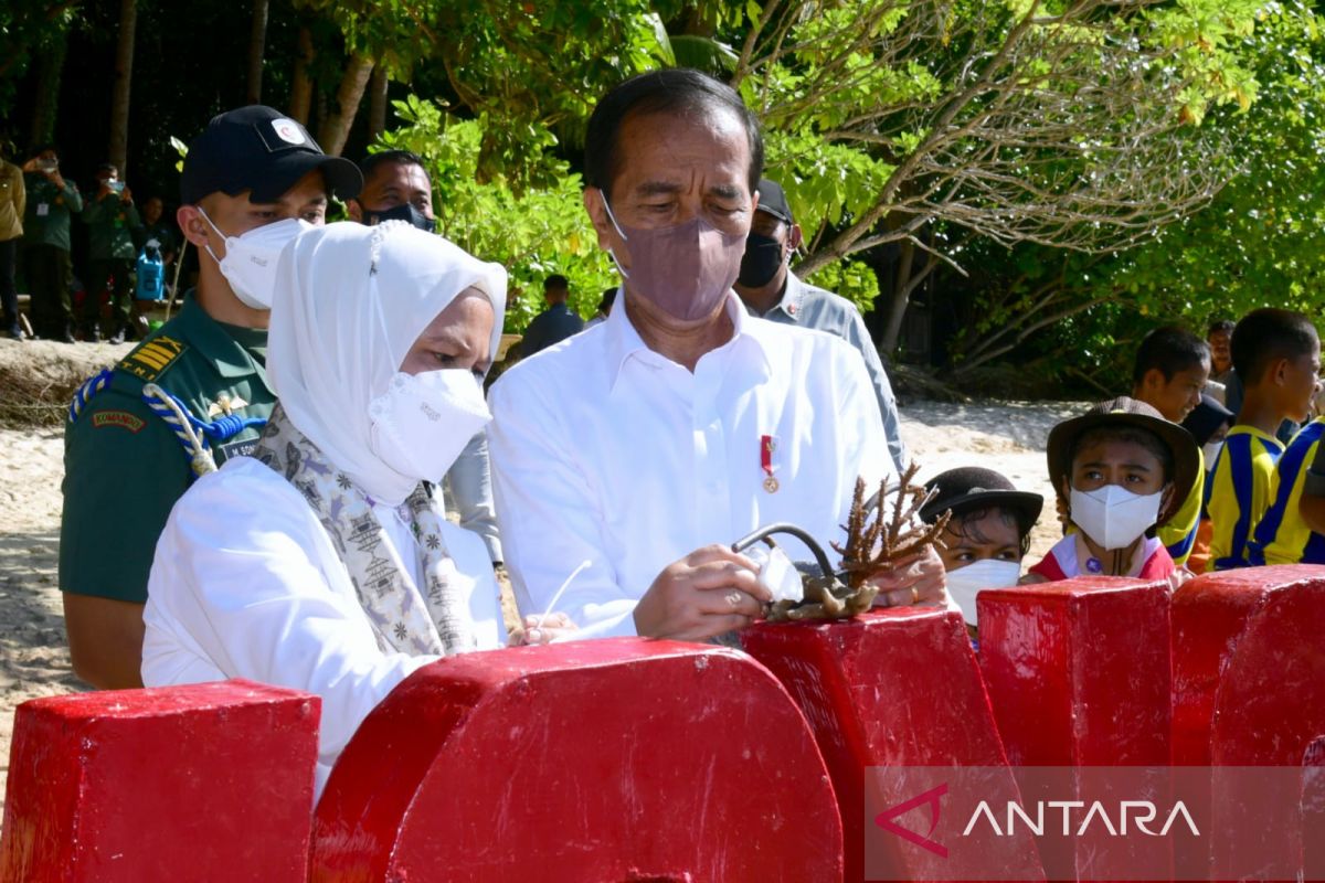 Presiden Jokowi ingatkan pentingnya untuk menjaga terumbu karang Wakatobi