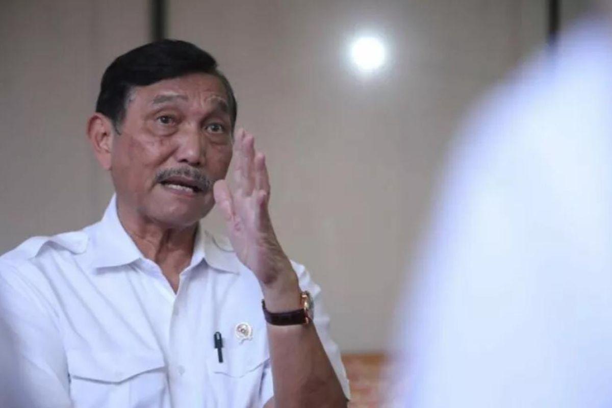 Luhut sebut harga minyak goreng di Jawa Tengah turun