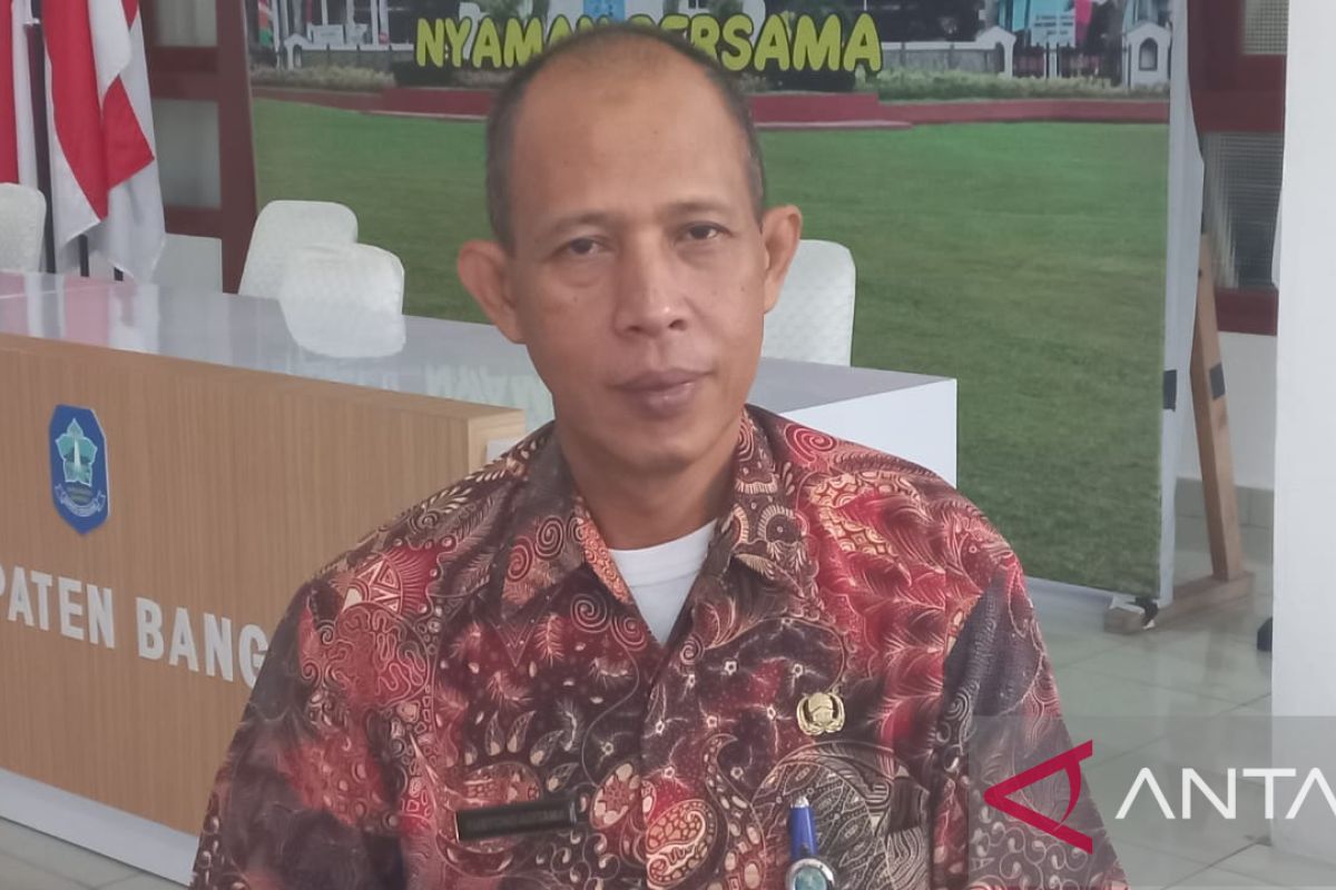 Pemerintah Bangka perkuat koordinasi awasi warga asing