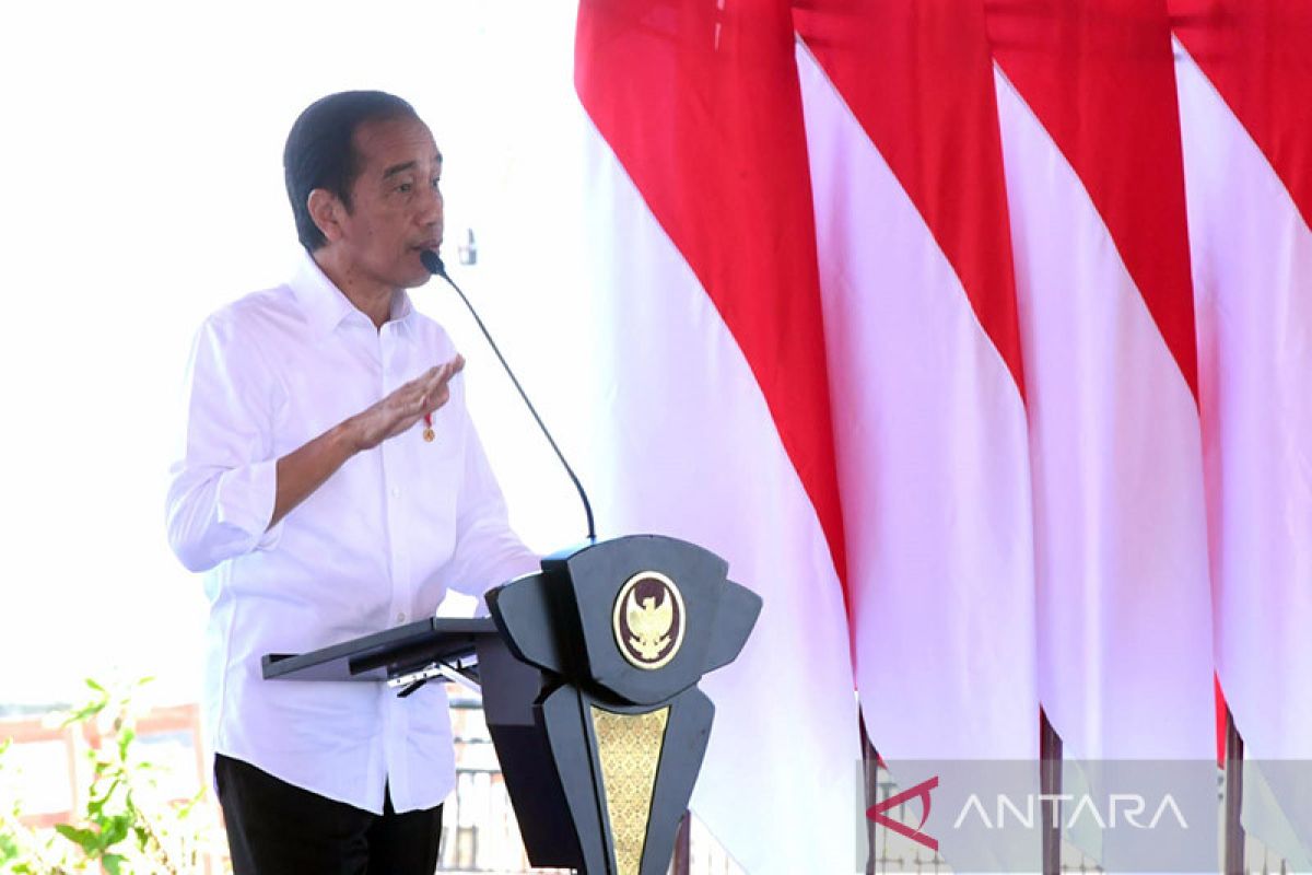 Committed to cooking oil, fuel subsidies despite fiscal burden: Widodo