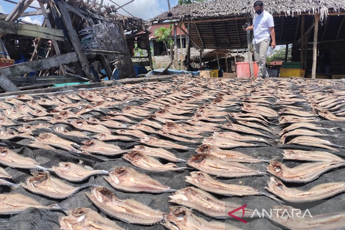 Produksi ikan asin di Aceh Timur turun