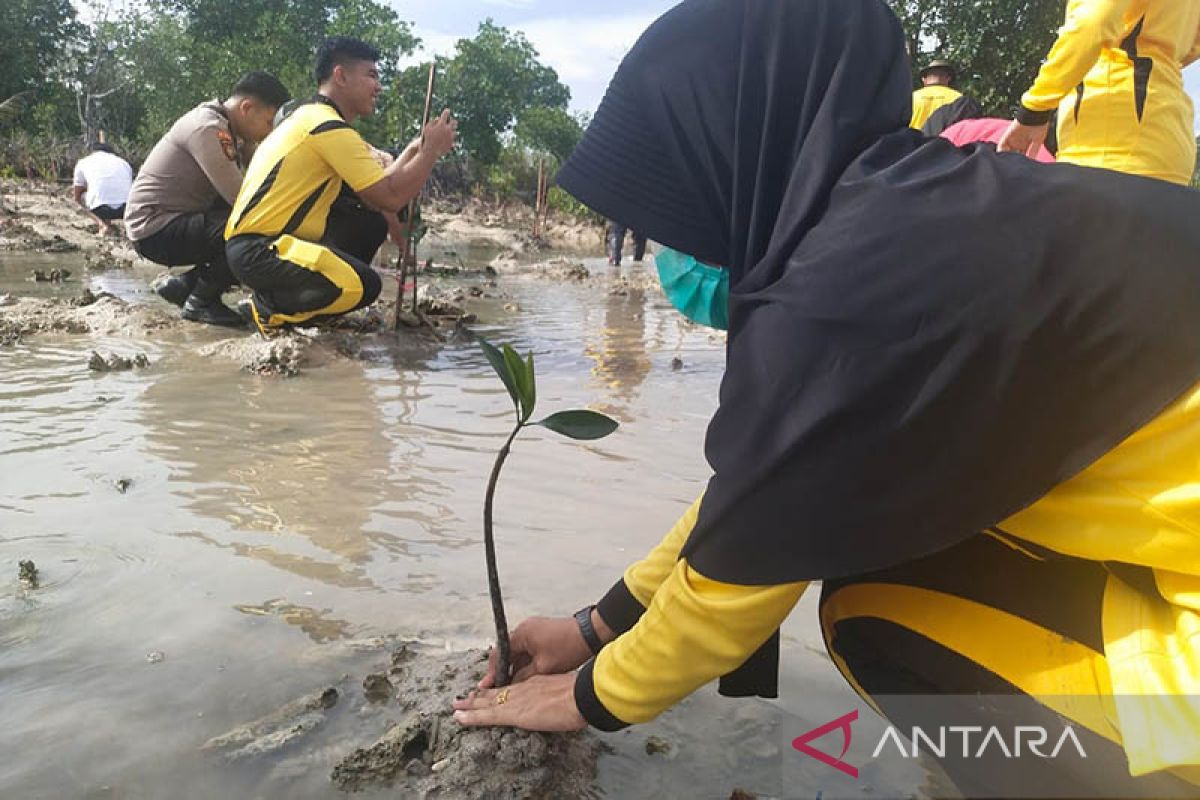 Polres Simeulue tanam 1.500 batang mangrove HUT Bhayangkara