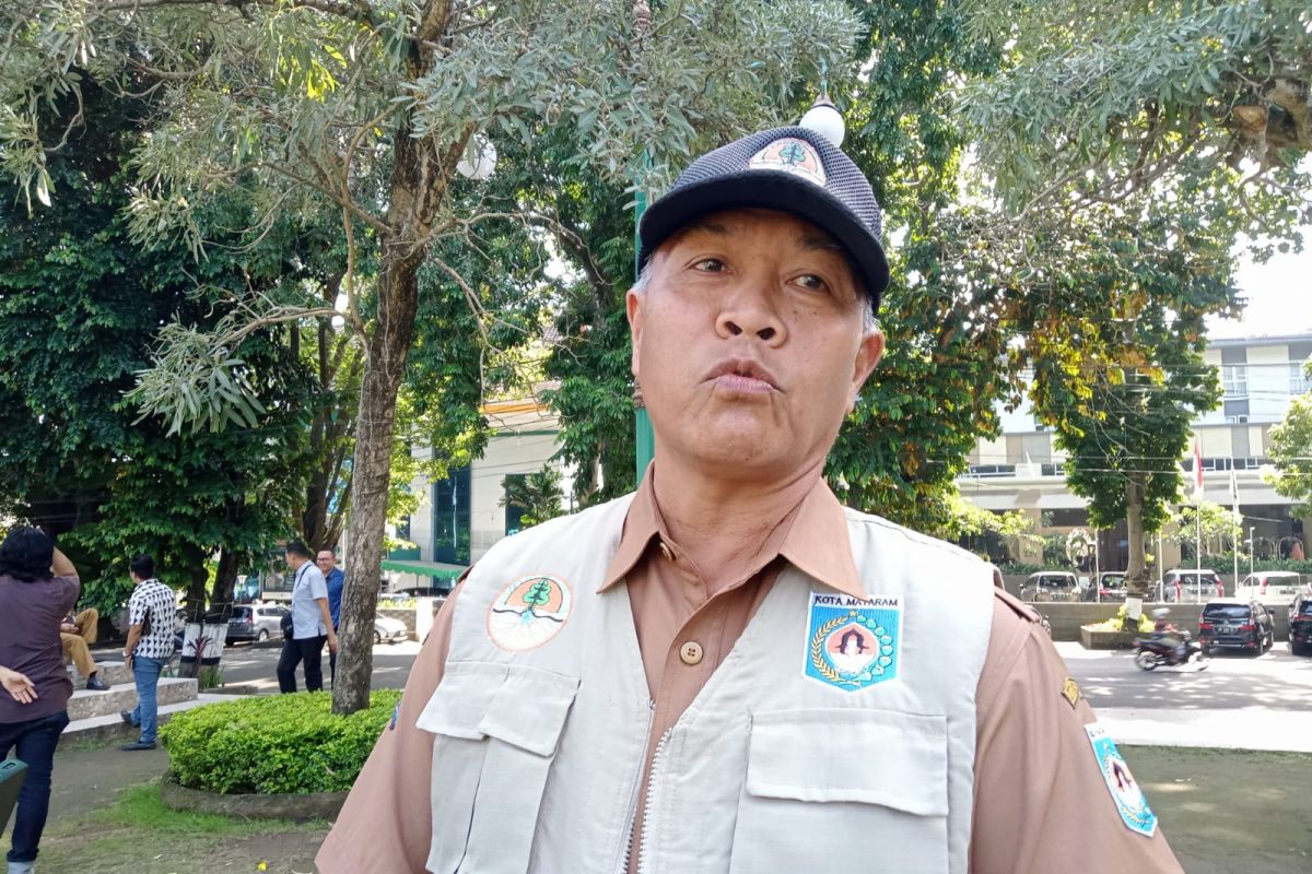 DLH Mataram siapkan regulasi perketat tebang pohon pelindung
