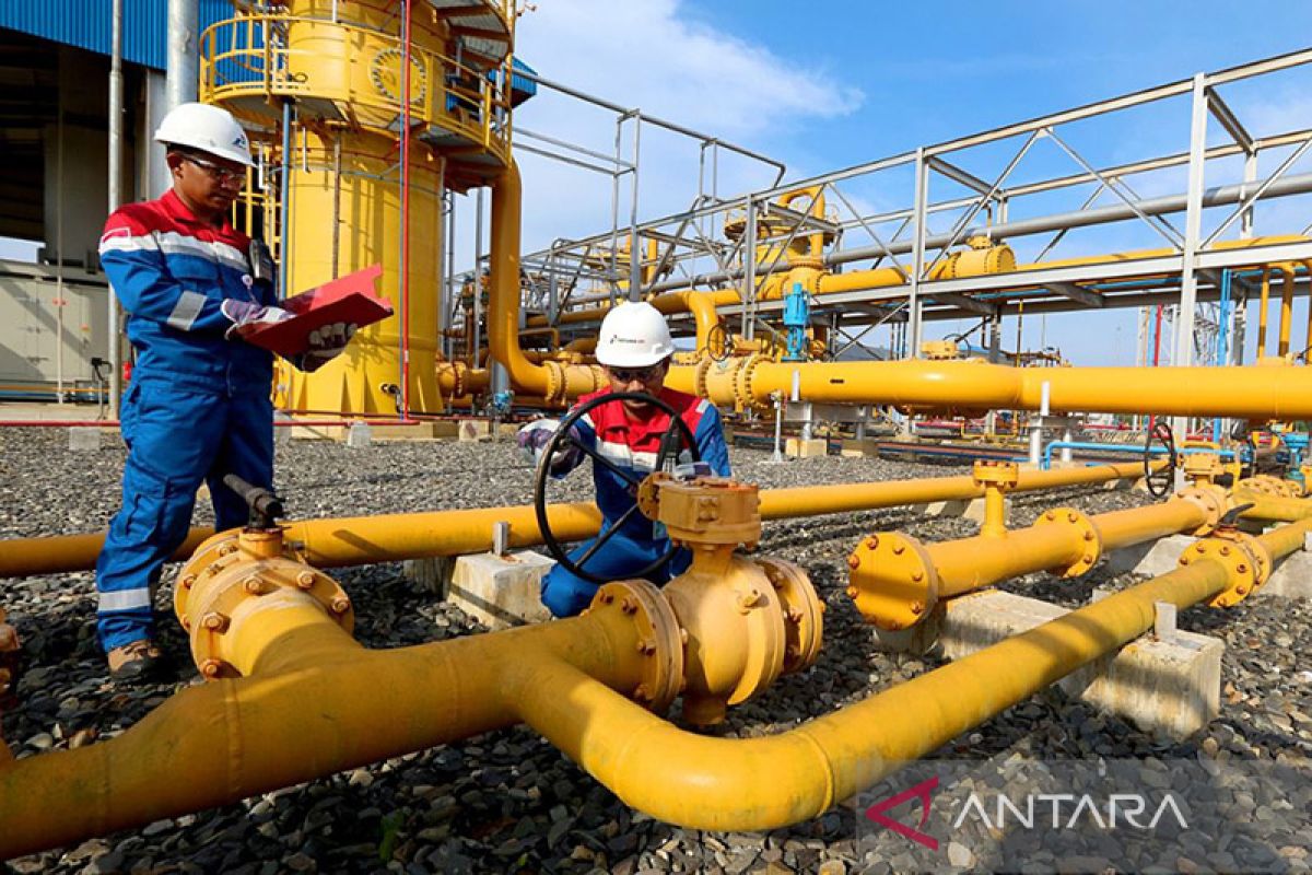 Subholding Gas Pertamina optimalkan pemanfaatan gas untuk domestik