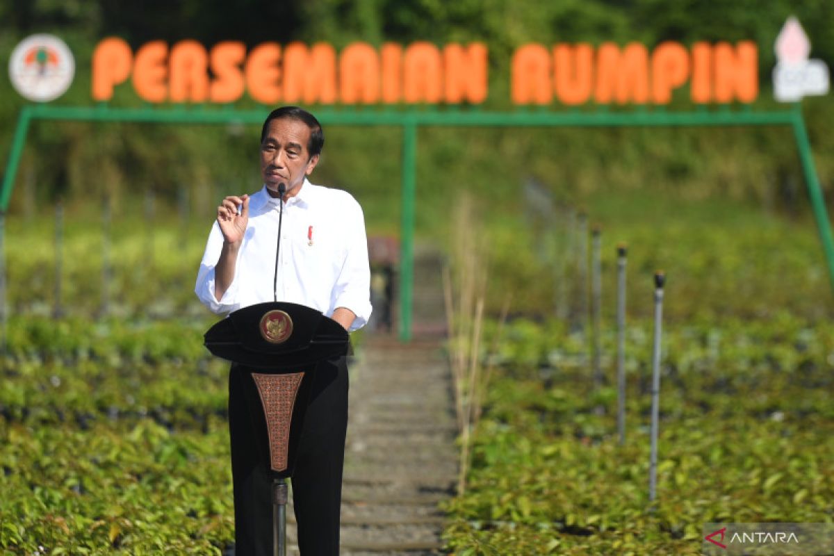 Presiden Jokowi targetkan 360 juta bibit dari 30 pusat persemaian