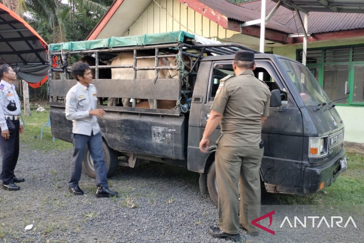 Satgas PMK tidak izinkan belasan ternak keluar Mukomuko