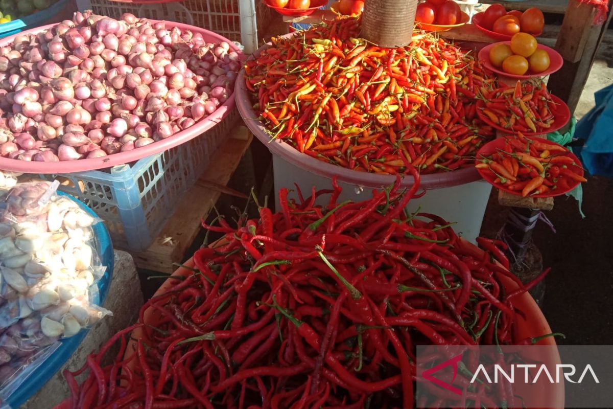 Harga cabai merah & tomat di Ambon melonjak naik akibat cuaca, begini penjelasannya