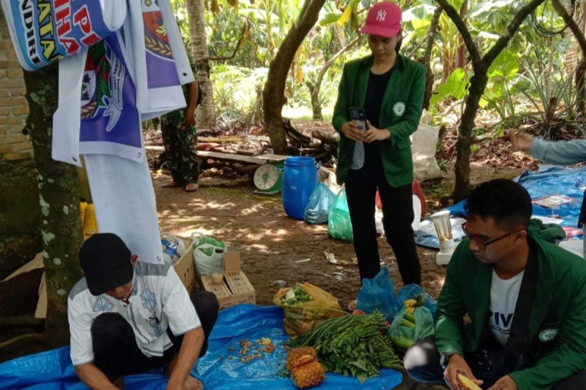 Laksanakan pengabdian masyarakat, mahasiswa Kementan terjun di 15 kabupaten di Sumatera