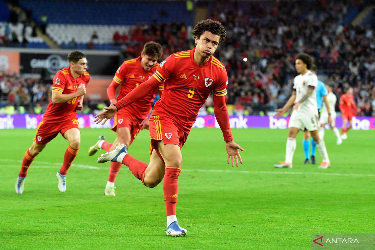 Belgia bekuk Wales 7-0