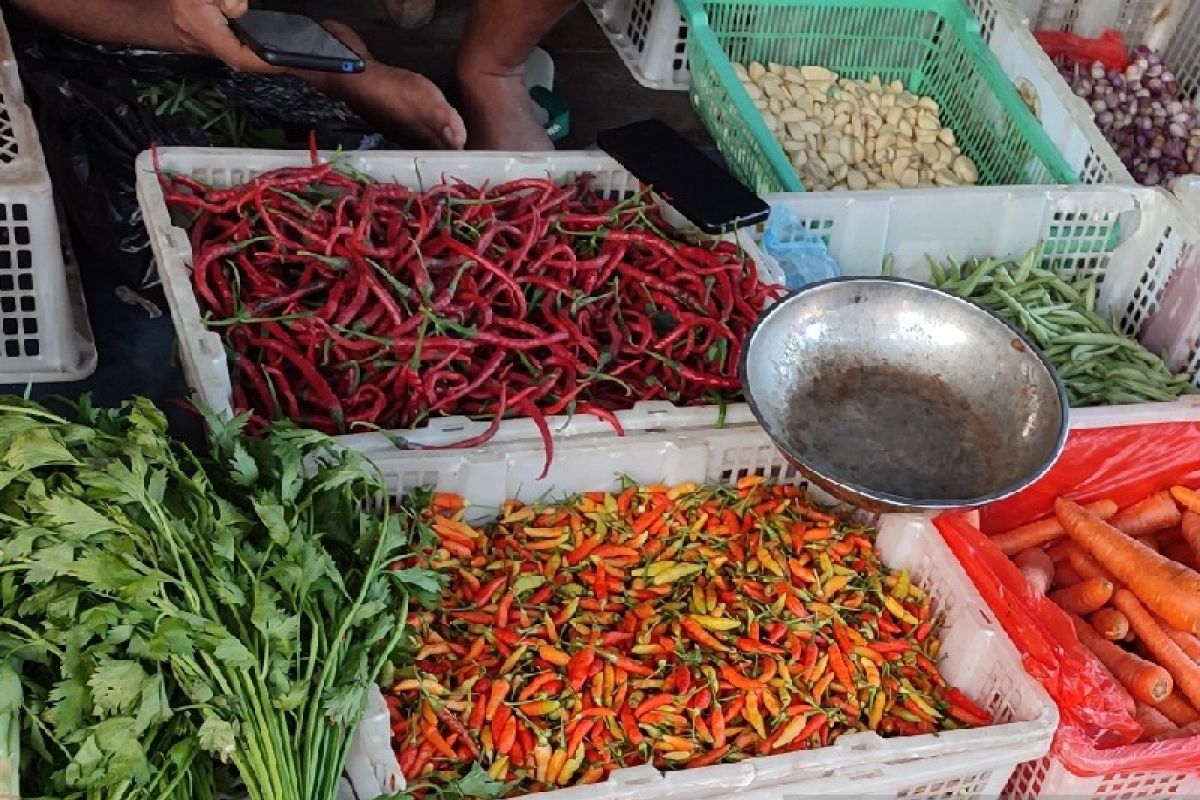 Petani di Arso mulai merasakan dampak kemarau basah