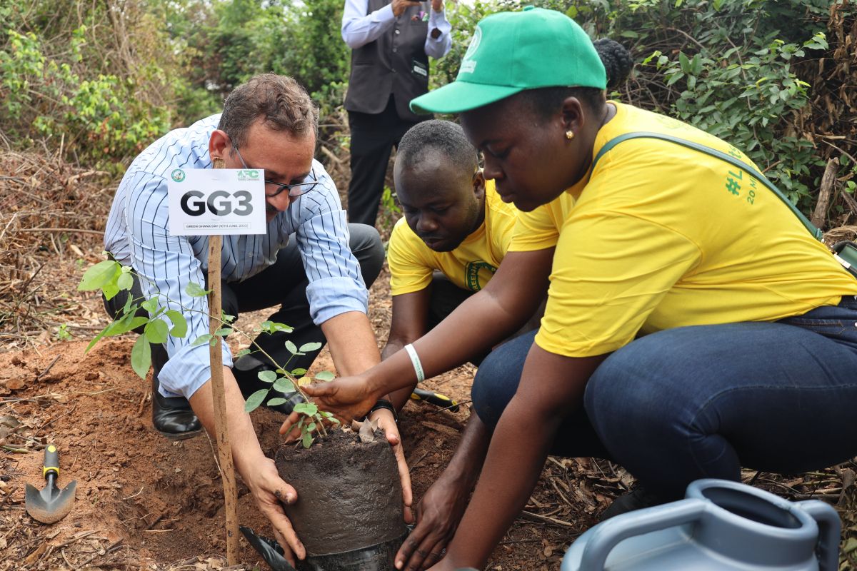 Ghana targetkan tanam 20 juta pohon untuk pulihkan hutan