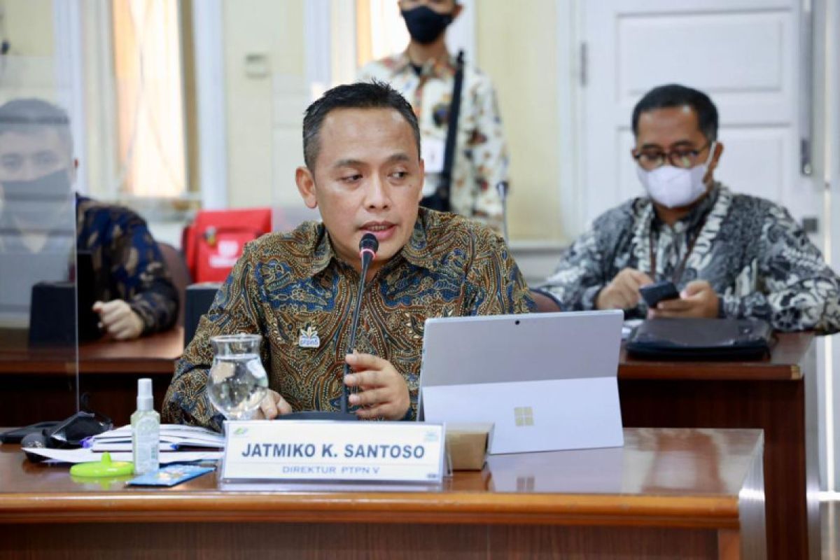 PTPN V asistensi ratusan petani sertifikasi ISPO-RSPO