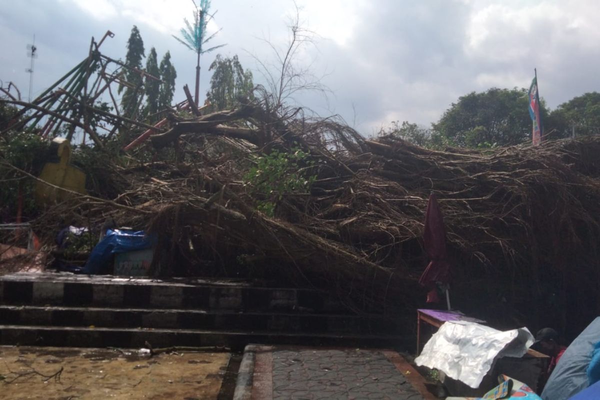 Beringin tumbang timpa wahana bermain di Lapangan Denggung Sleman