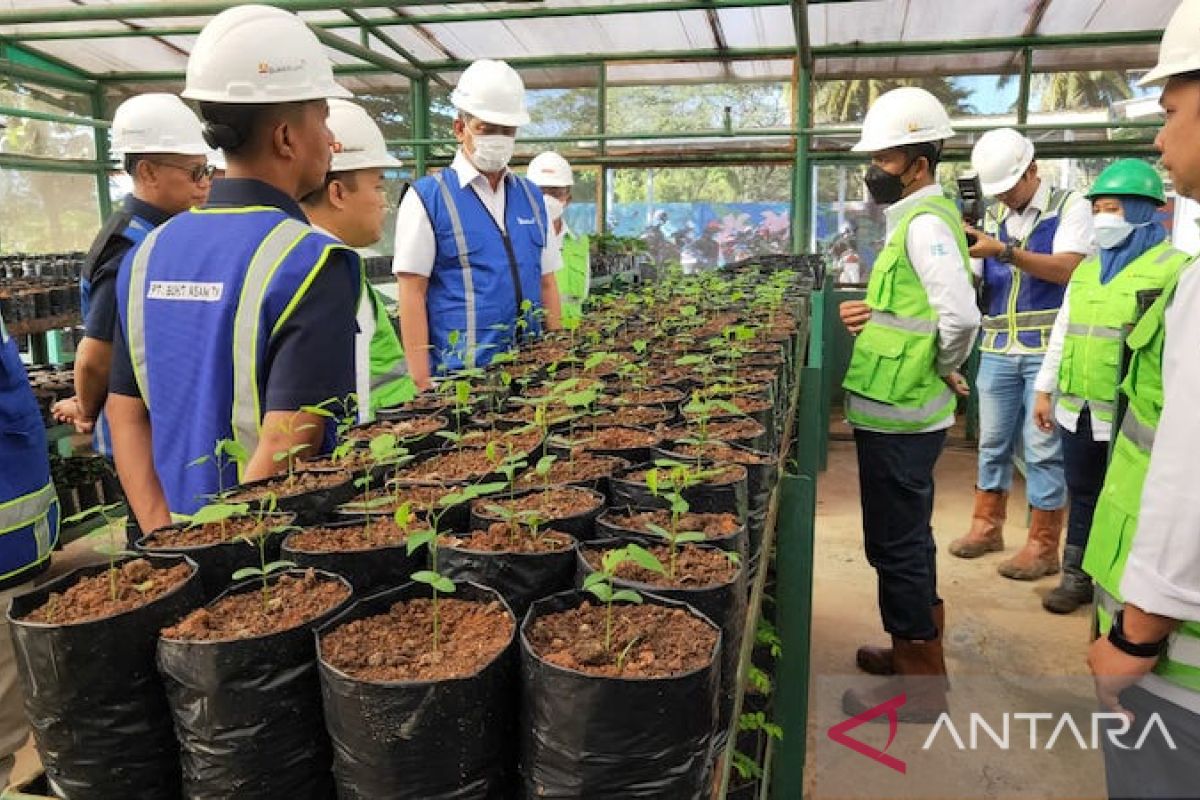 PT Bukit Asam bangun taman koleksi di lahan bekas tambang Tanjung Enim