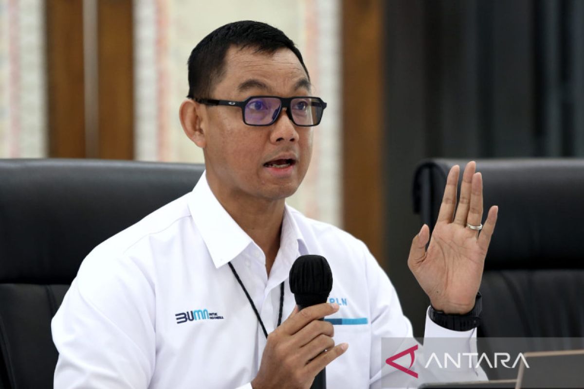 PLN ungkap alasan tarif listrik bisnis dan industri tidak ikut naik