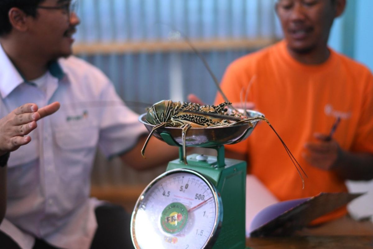 PT Antam tingkatkan kemandirian masyarakat pesisir di Pomalaa