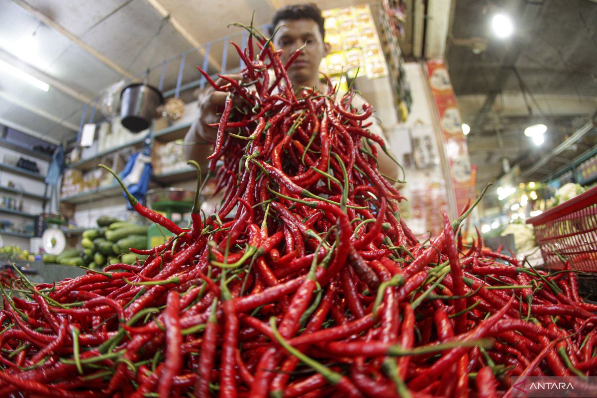 Cabai merah di Tebing Tinggi semakin 