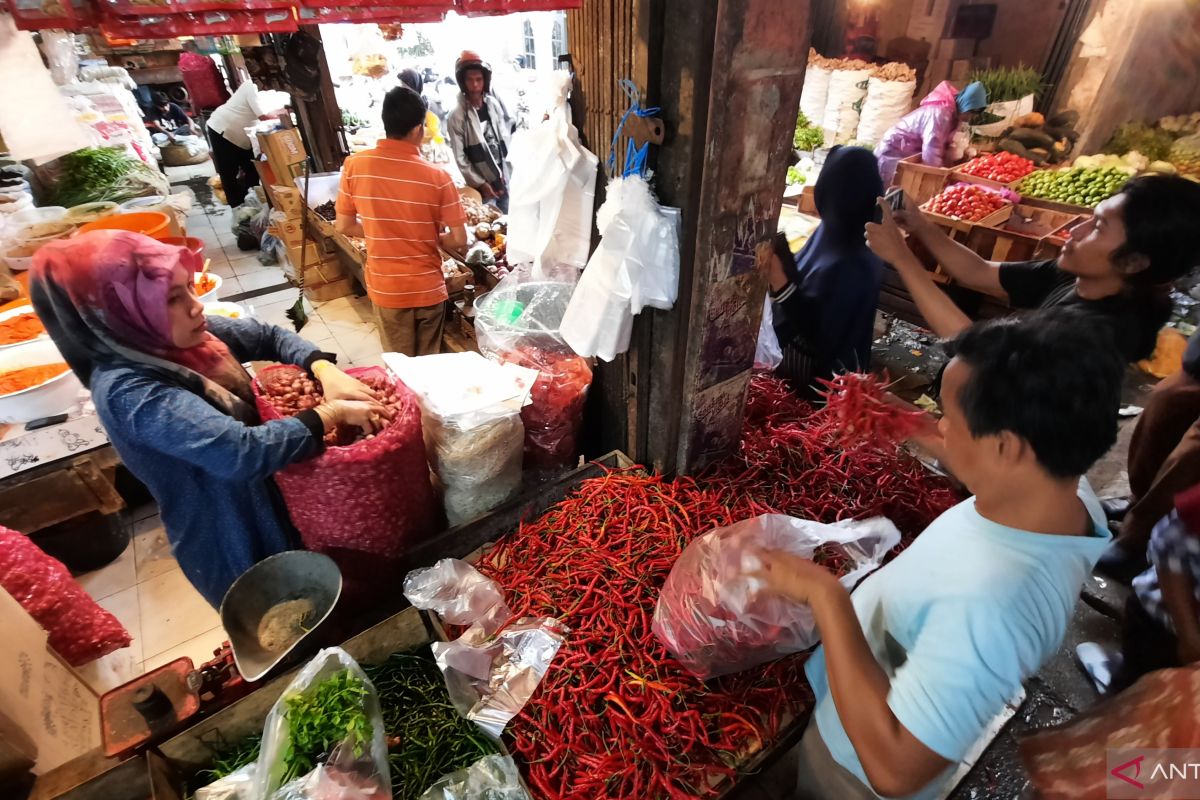 Harga cabai merah di Pariaman capai Rp90 ribu per kilogram