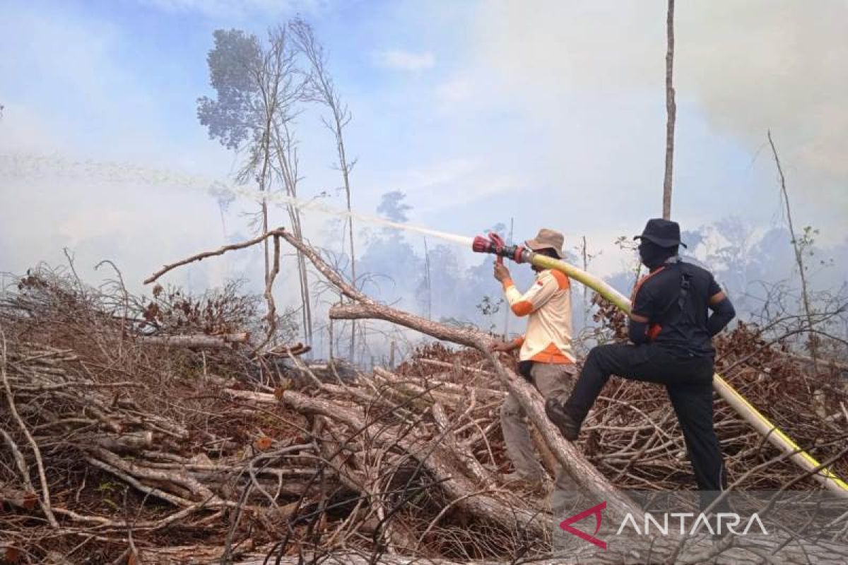 BPBD: 3 hektare lahan gambut terbakar di Nagan Raya Aceh sudah padam