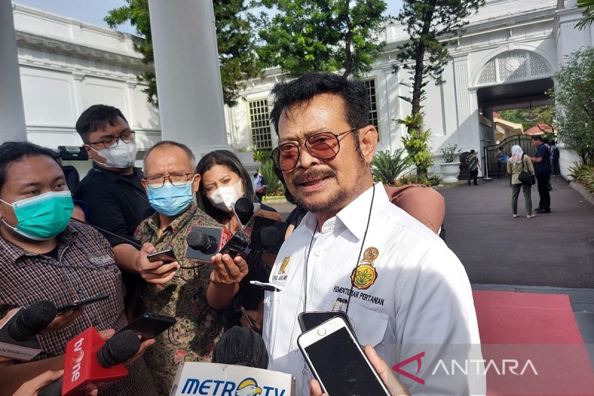 Syahrul Yasin Lipo akui  fokus kerja ketimbang tanggapi rumor  