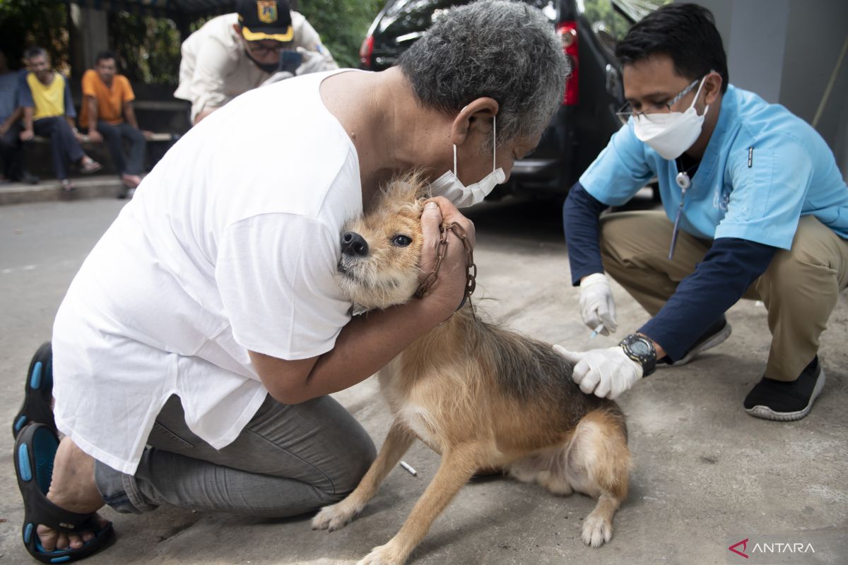 Pemkab Buleleng gencarkan vaksinasi keliling untuk rabies