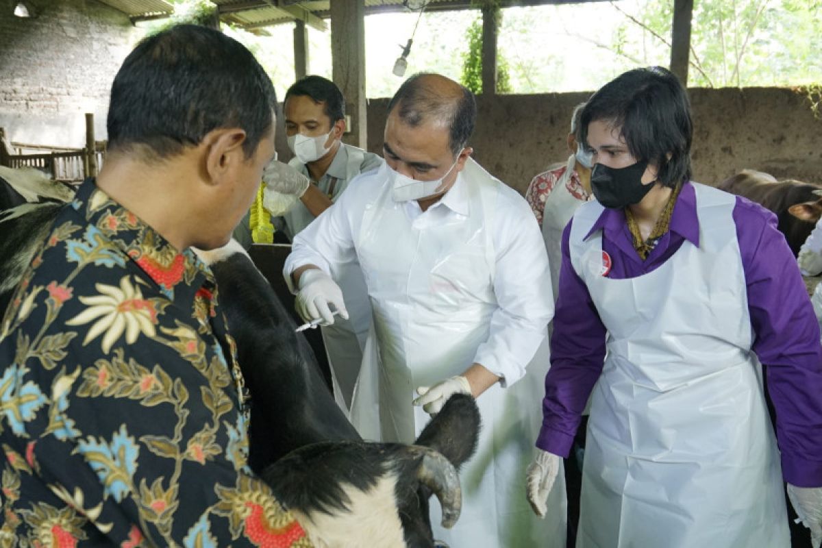 Govt launches FMD vaccination program from East Java