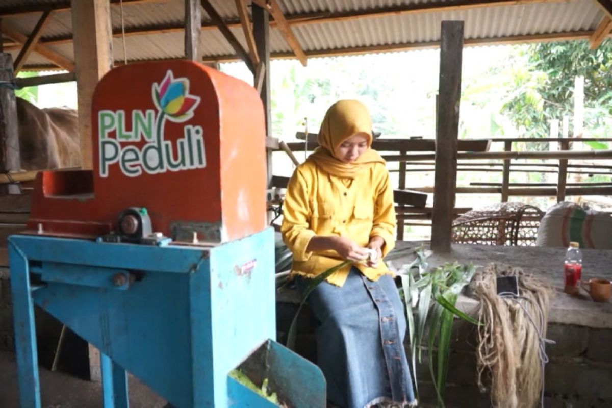 PLN NTB membantu IKM pengolah daun nanas jaga kualitas produk ekspor