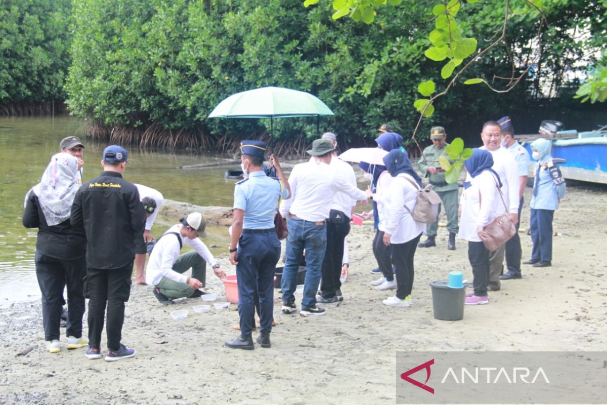 TN Kepulauan Seribu lepas 200 tukik dan tanam 500 bibit mangrove