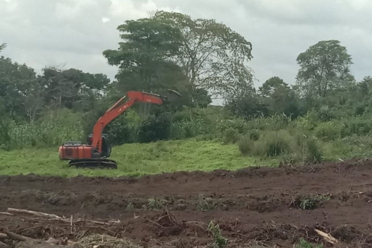 Masyarakat Simalungun tolak tanaman teh diganti sawit