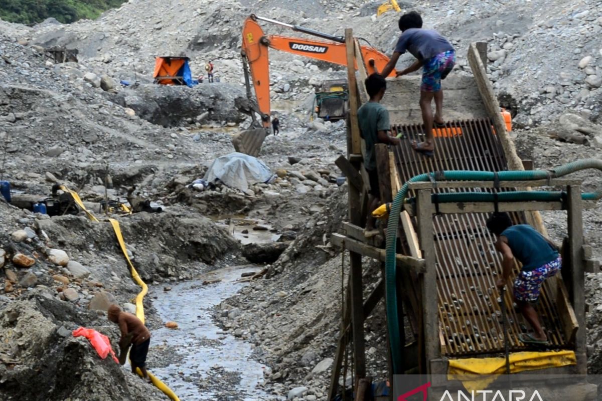 Bupati : Penambangan emas ilegal di Kabupaten Manokwari merusak alam