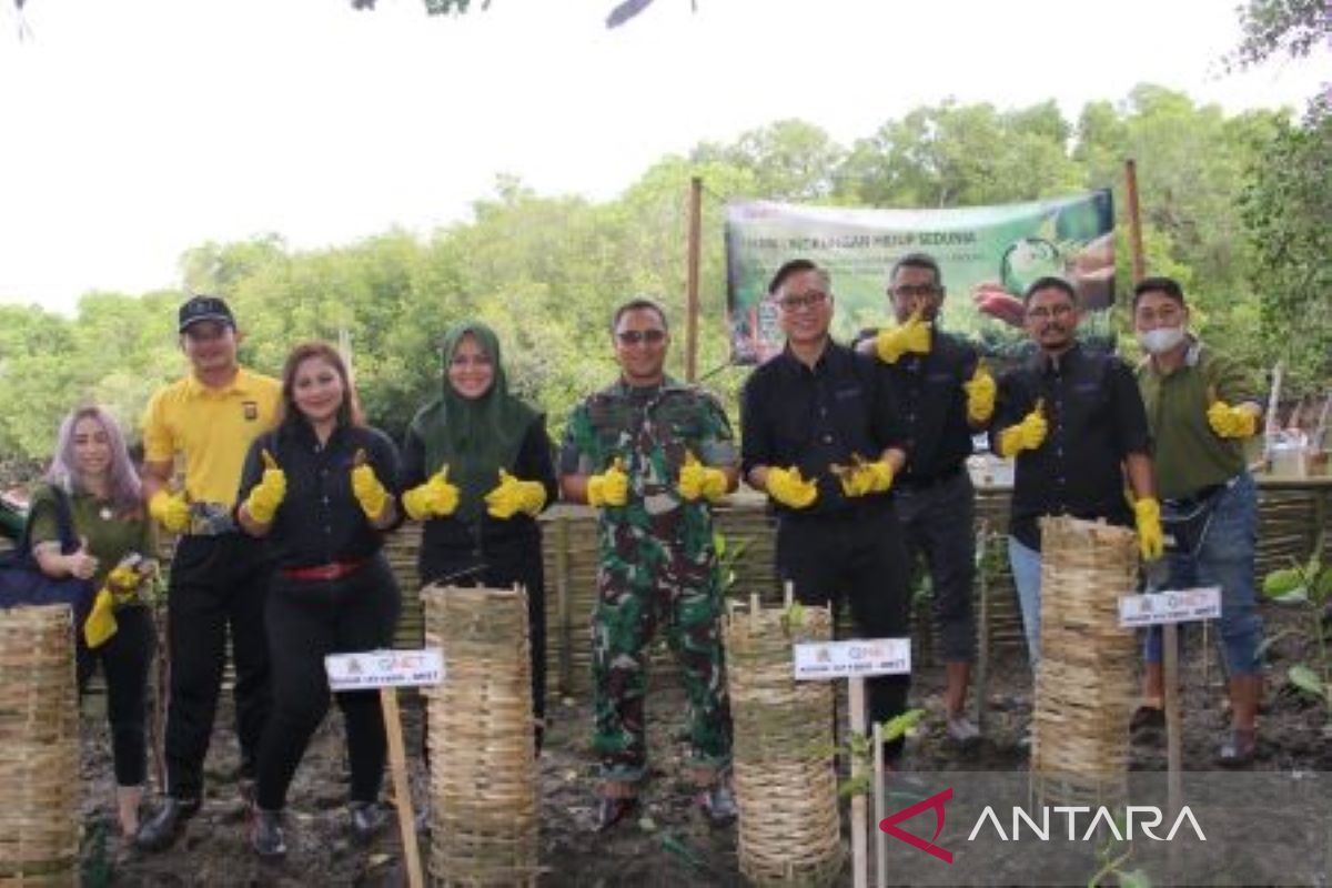 Kodim 1611 Badung kerja sama QNET tanam ribuan bakau serangkaian Hari Lingkungan Hidup