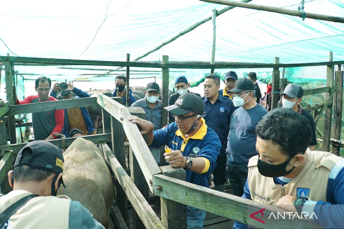 Pemkab HSS laksanakan pendampingan 