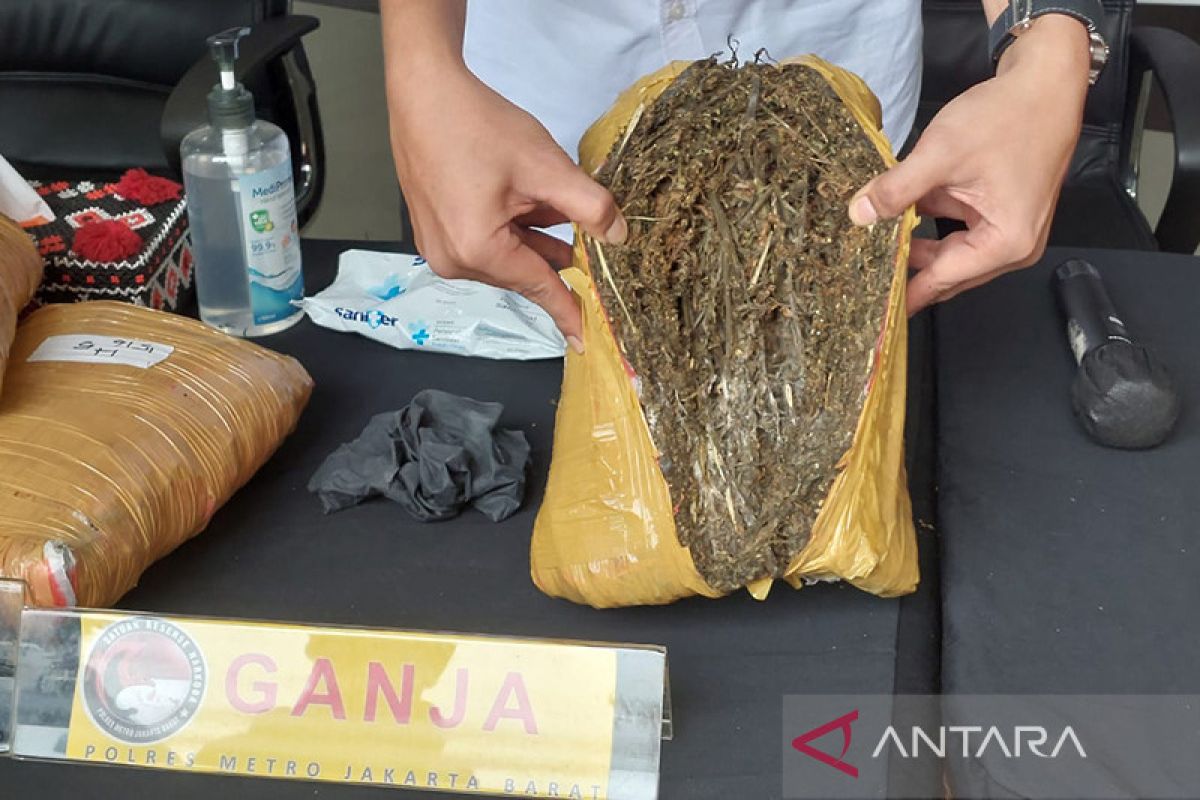 BNN Pidie tangkap pembawa 200 kilogram ganja